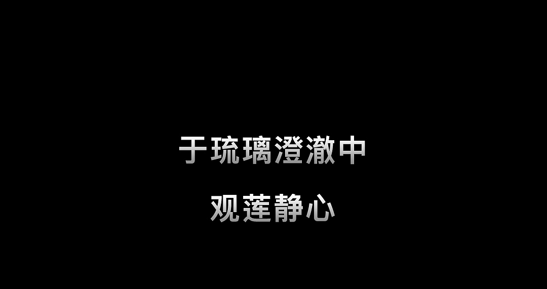 享莲之趣，赏琉璃之美（图ZMjc3MTUyMDU2） - 生活用品 - 站酷设计师茶知道原创素材 - 站酷ZCOOL