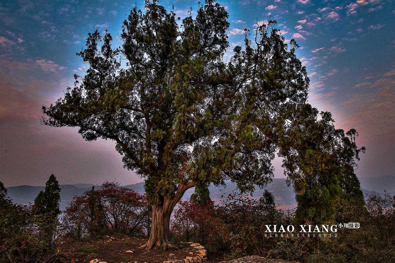 蔡节红叶（图ZOTM5OTM5NTY=） - 风光摄影 - 站酷设计师lixiangpeng1122原创素材 - 站酷ZCOOL
