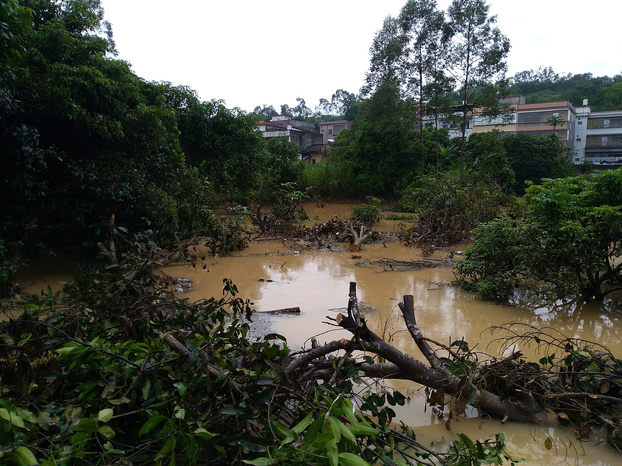 取舍，回归初心（图ZMjgxNDg1OTI4） - 风光摄影 - 站酷设计师治愈的花园原创素材 - 站酷ZCOOL