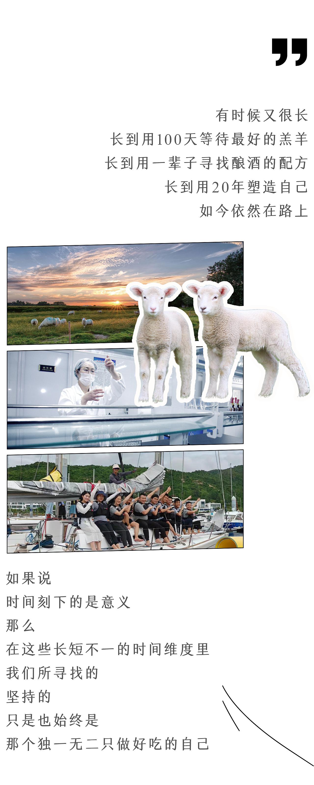 周年企业宣传排版设计