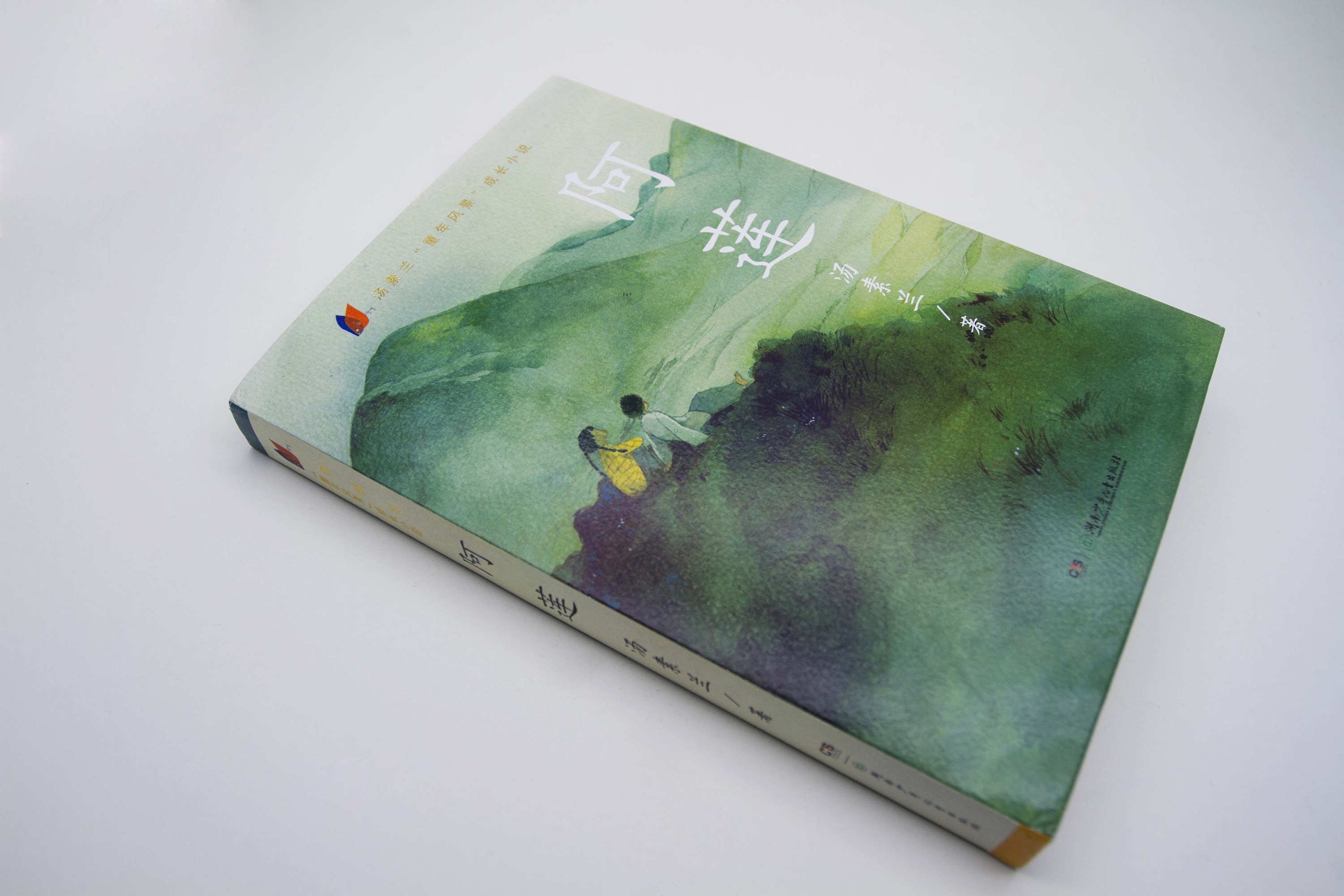 《阿莲》|平面|书籍|danny夏雨 - 原创作品 - 站酷 (zcool)