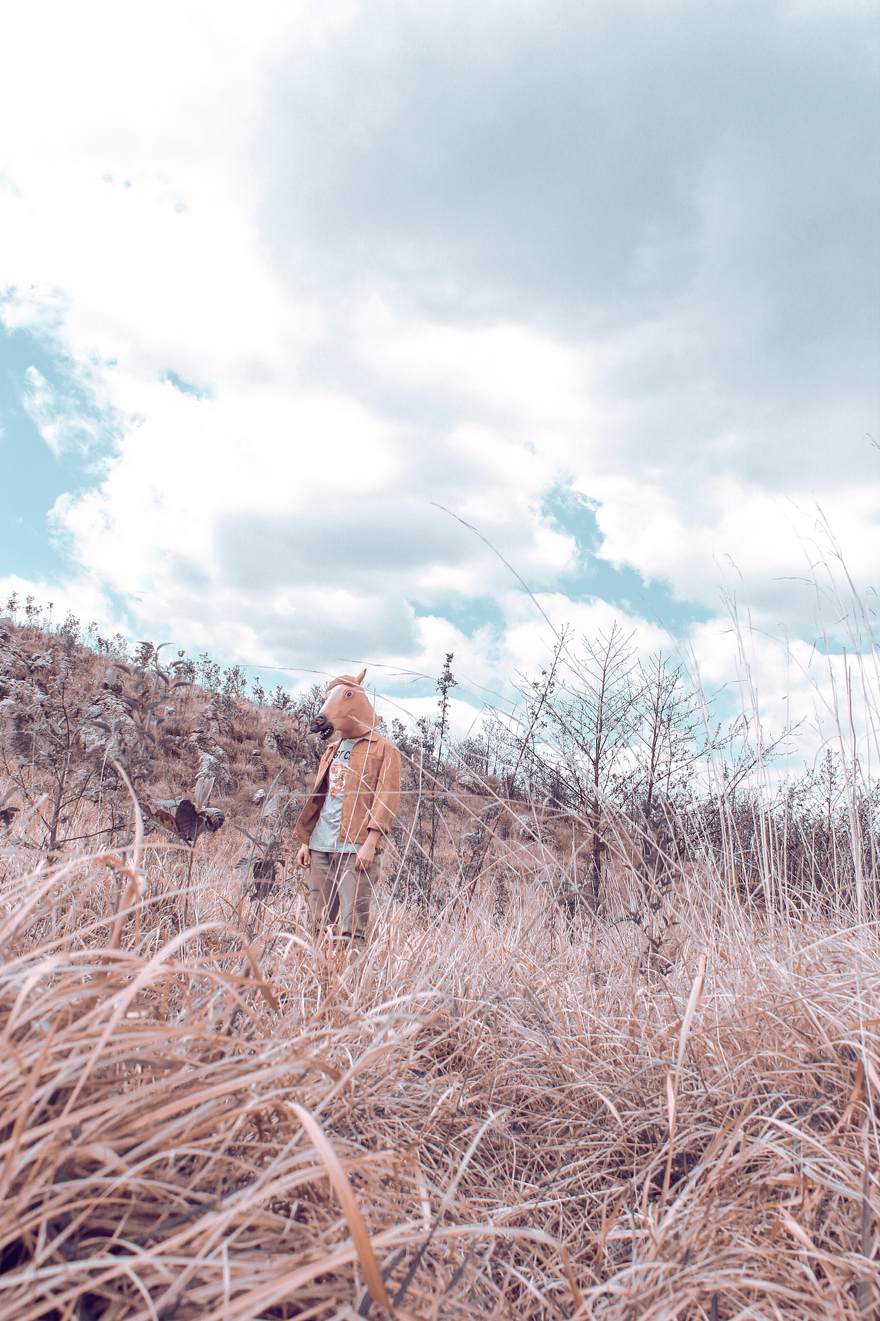 野里 | 姓张的马先生