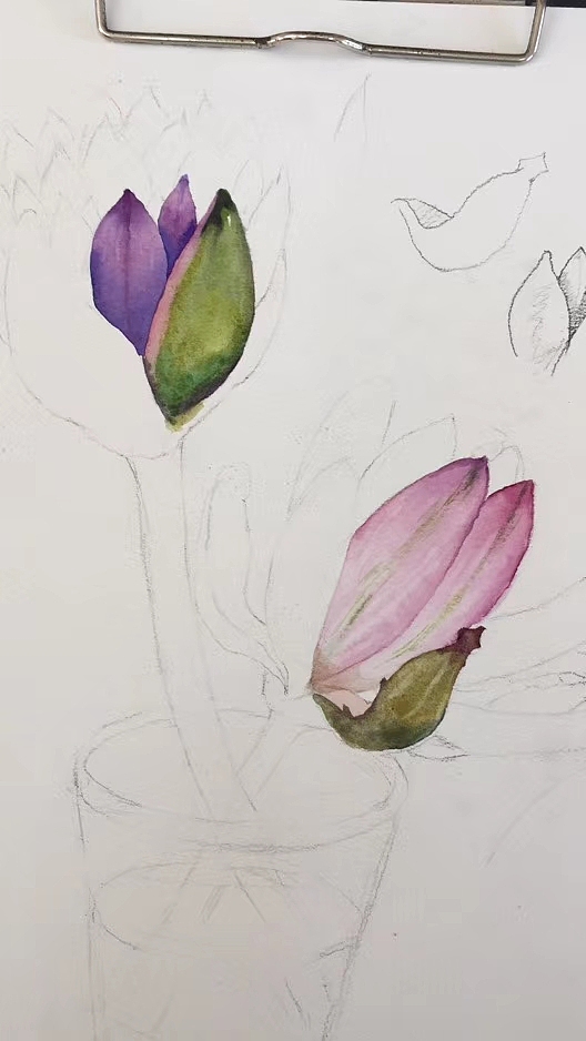 花卉写生（图ZMTgzMzQxNjQ4） - 绘画 - 站酷设计师Z93986196原创素材 - 站酷ZCOOL