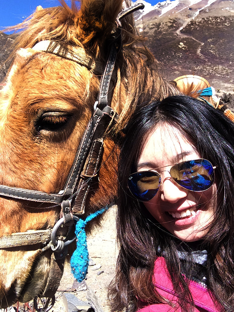 和我的小马合个影!她好腼腆哟~