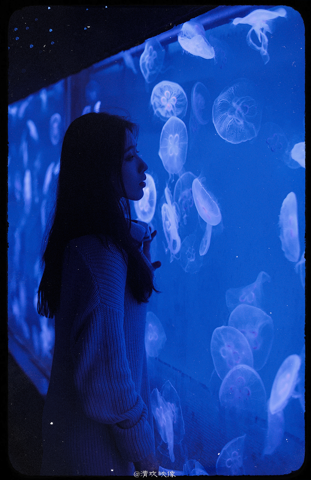 你是鱼儿水中游