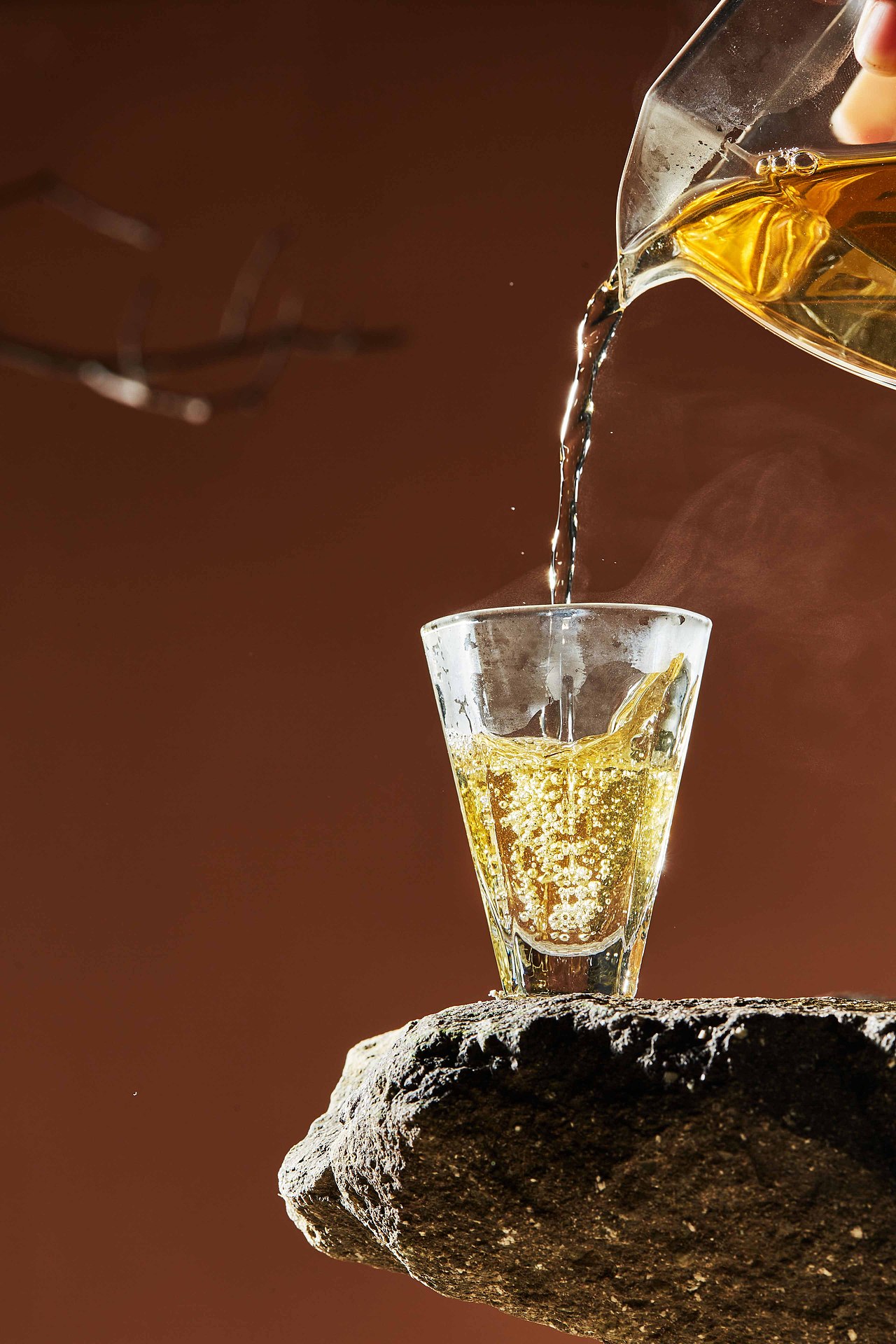 福鼎白茶-金奖贡眉