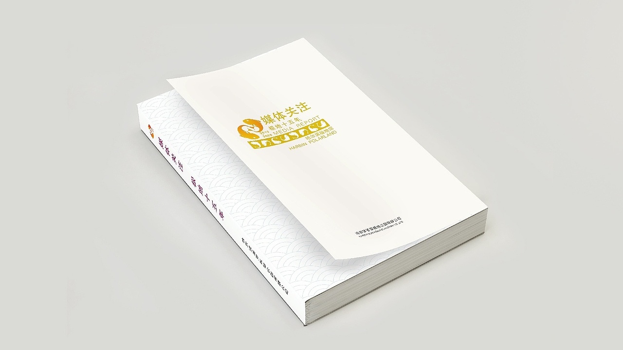 宣传册，书籍设计