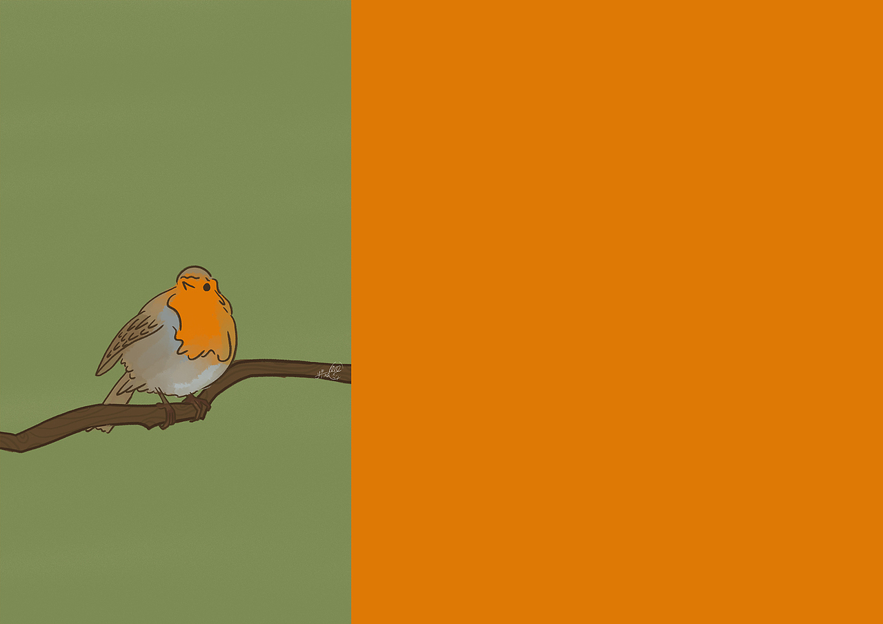 2021壁纸年度总结