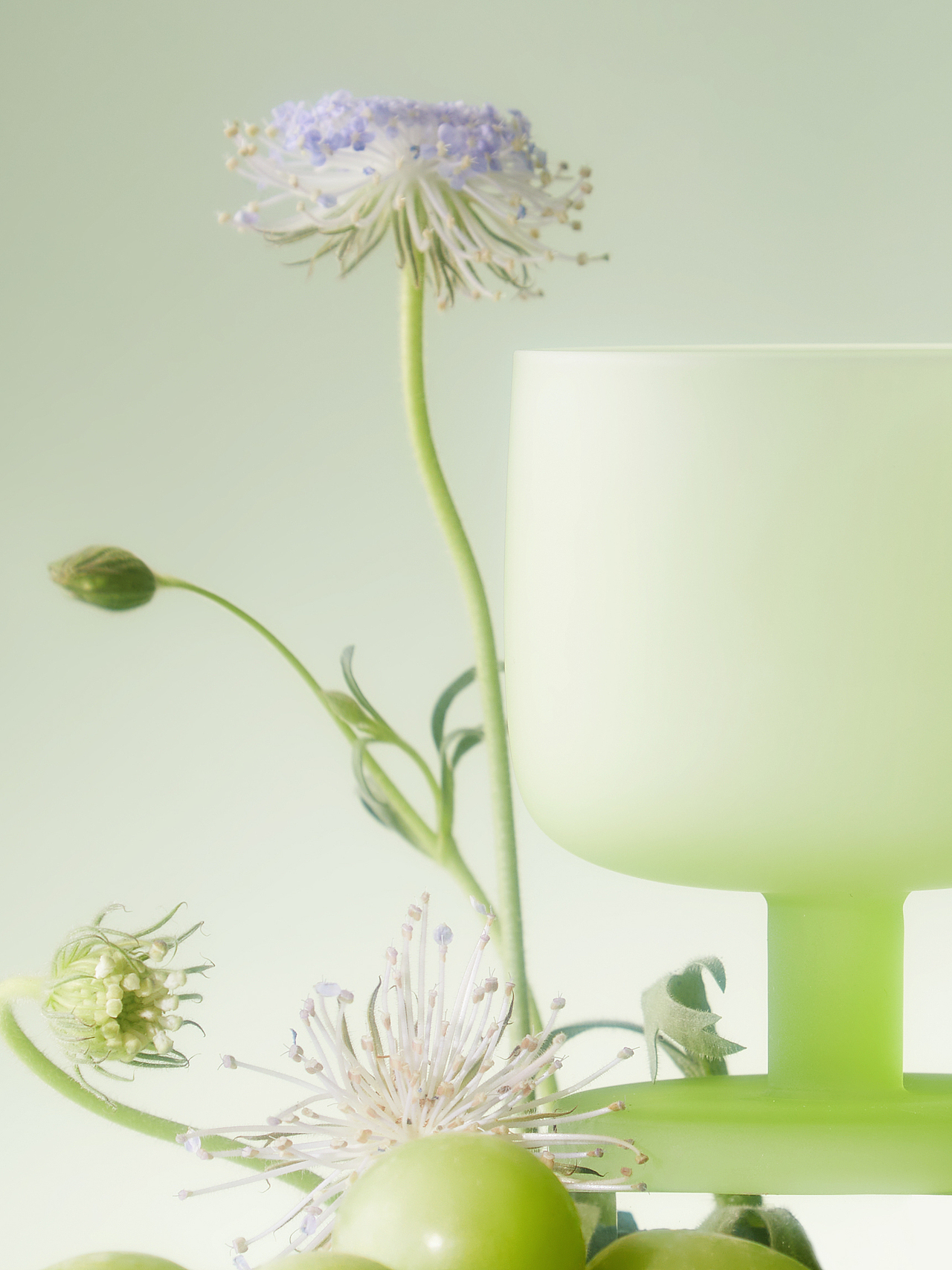 静物拍摄｜mu16糖果杯（图ZMzY0MTcyNDIw） - 产品摄影 - 站酷设计师施大大大原创素材 - 站酷ZCOOL