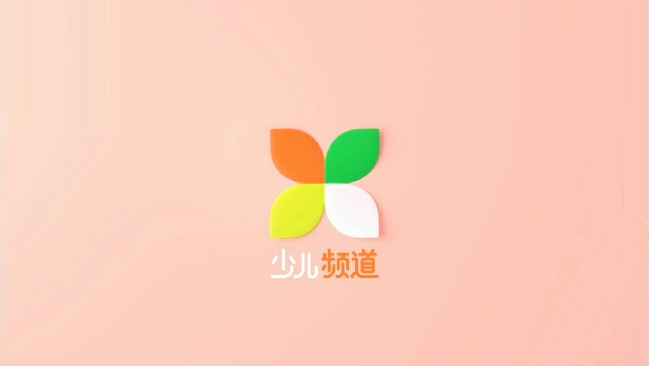 中央电视台12大频道和中国国际电视台