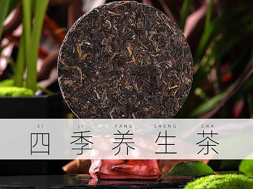 养生茶摄影 | 老茶树金花黑茶茯砖茶