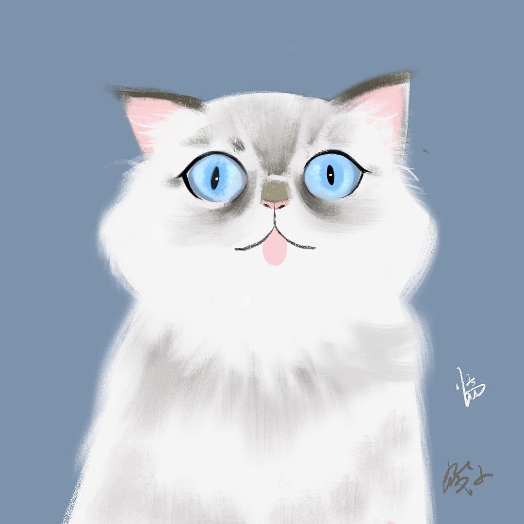 每日喵（图ZMTU1NTI4MDM2） - 创作习作 - 站酷设计师筱子就是筱子原创素材 - 站酷ZCOOL