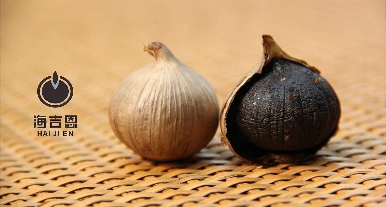 海吉恩标志设计