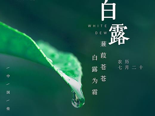 二十四节气之白露