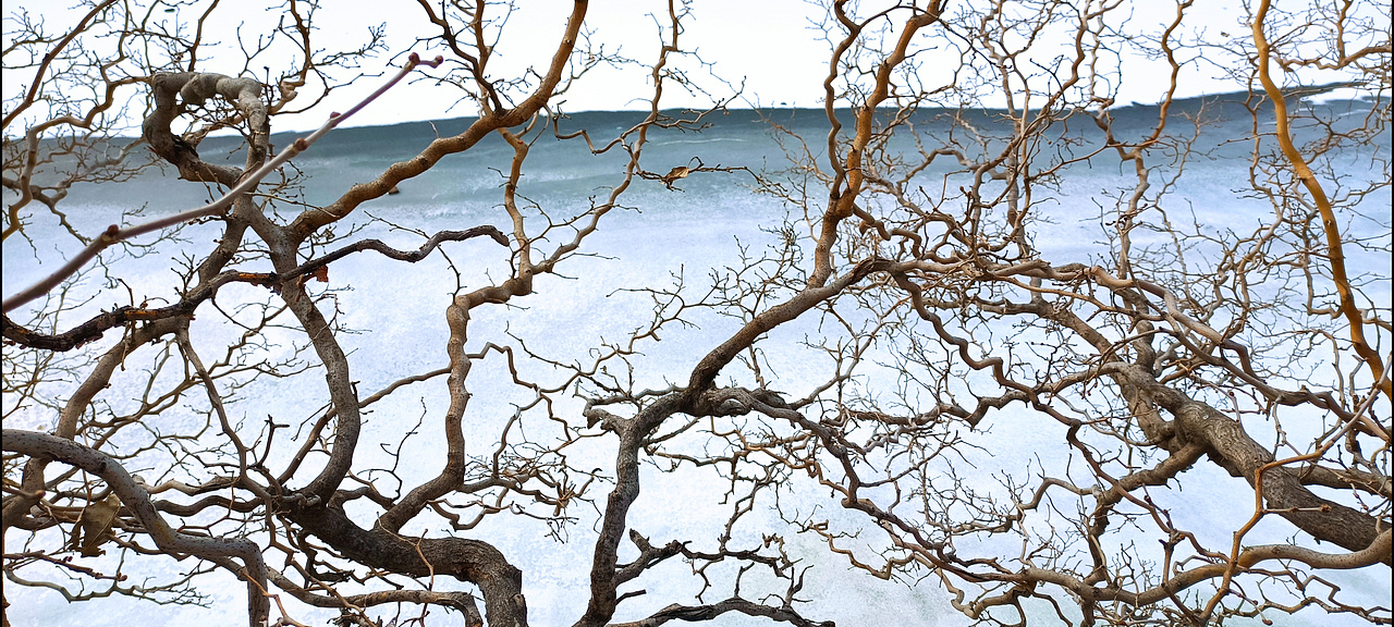 冰雪 树枝（图ZMjg2MzYxMDY4） - 风光摄影 - 站酷设计师设计师一大秦原创素材 - 站酷ZCOOL