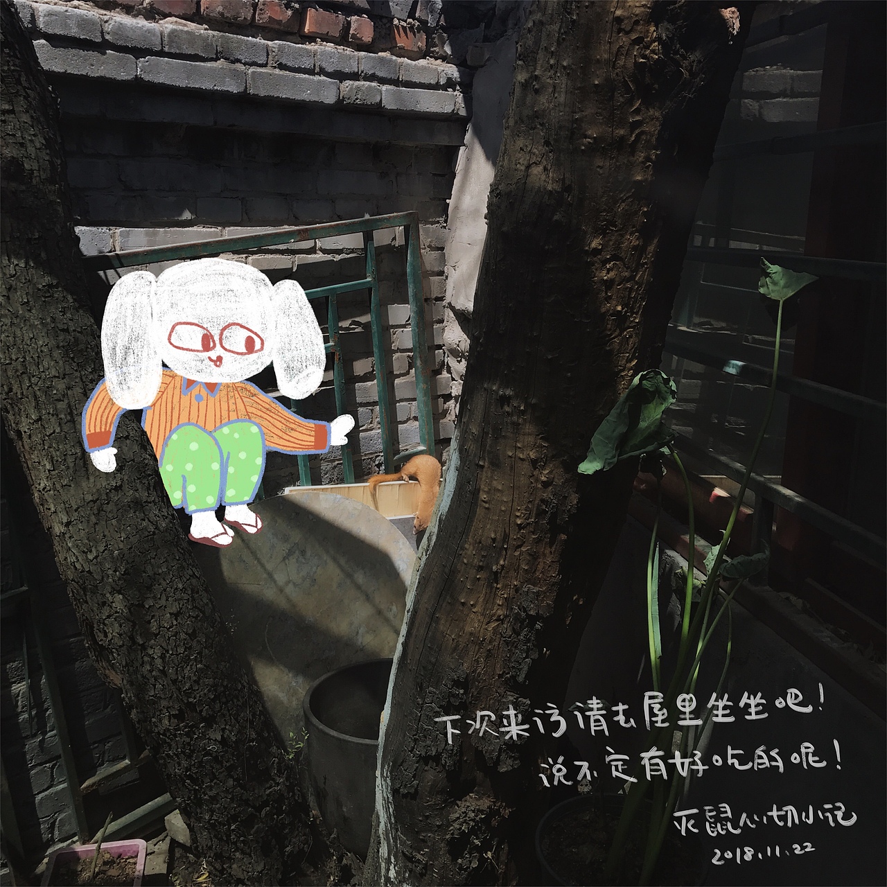 TOO谈:生活趣闻系列