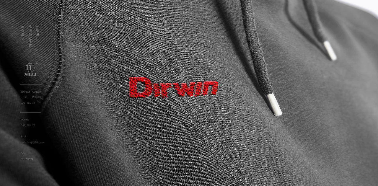 DIRVIN达尔文LOGO设计自行车商标运动风单车