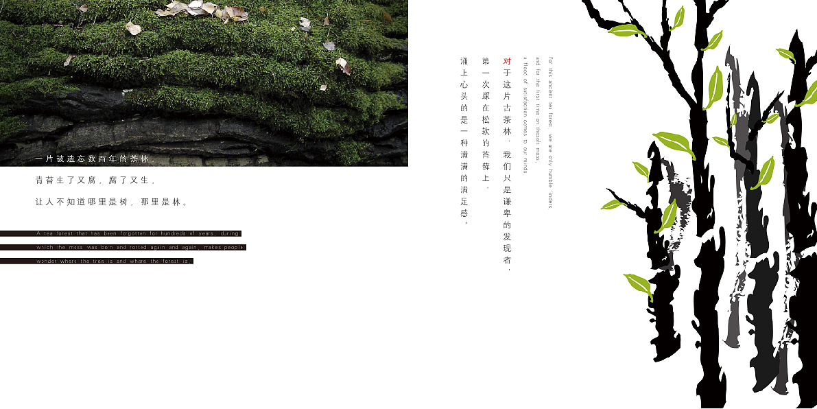 古树茶LOGO\包装\宣传册（图ZMTczNzM0ODIw） - 品牌 - 站酷设计师迎姬原创素材 - 站酷ZCOOL