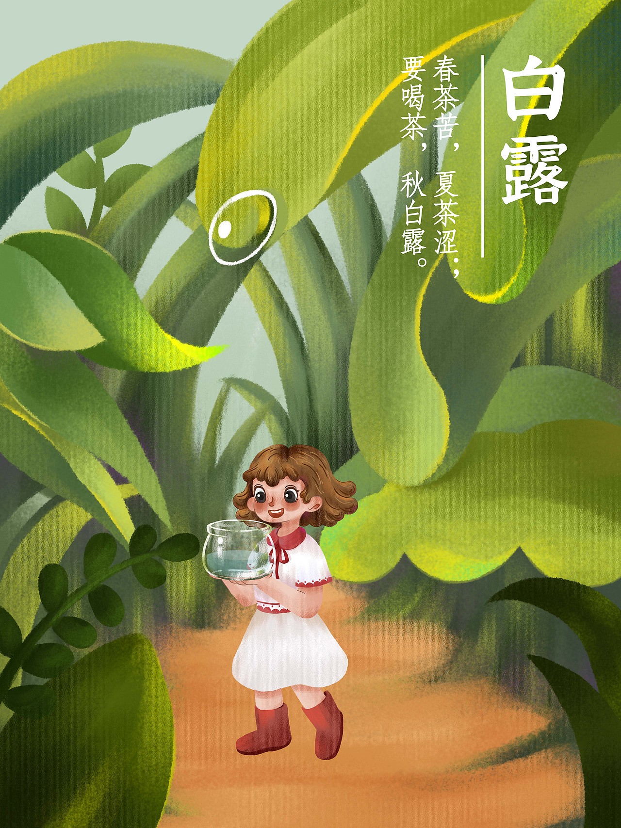 白露插画海报二十四节气插画