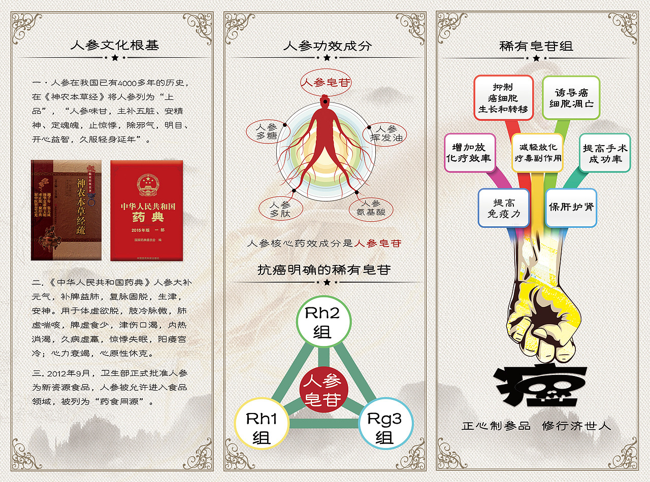 中国风公司折页画册四折页产品介绍人参稀有皂苷（图ZMTA4MDk1ODQw） - 宣传物料 - 站酷设计师过龙蒋原创素材 - 站酷ZCOOL