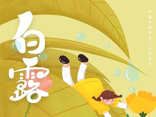 运营插画--白露