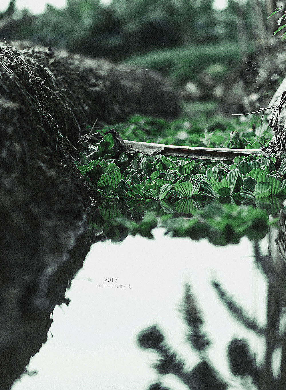 立春（图ZNjk0NjU3NDA=） - 风光摄影 - 站酷设计师HG设计者原创素材 - 站酷ZCOOL