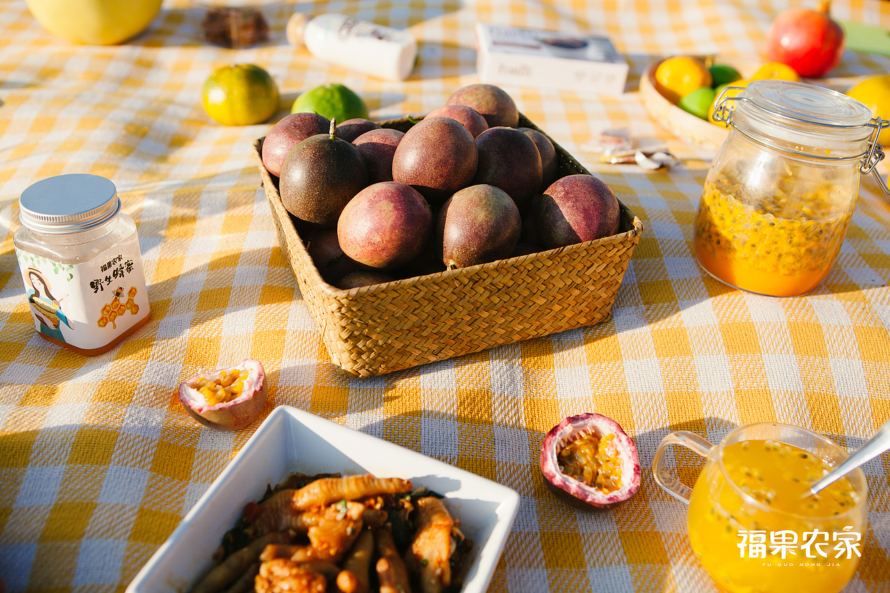 晴天,稻田里的野餐