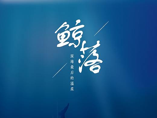 龙猫 鲸落