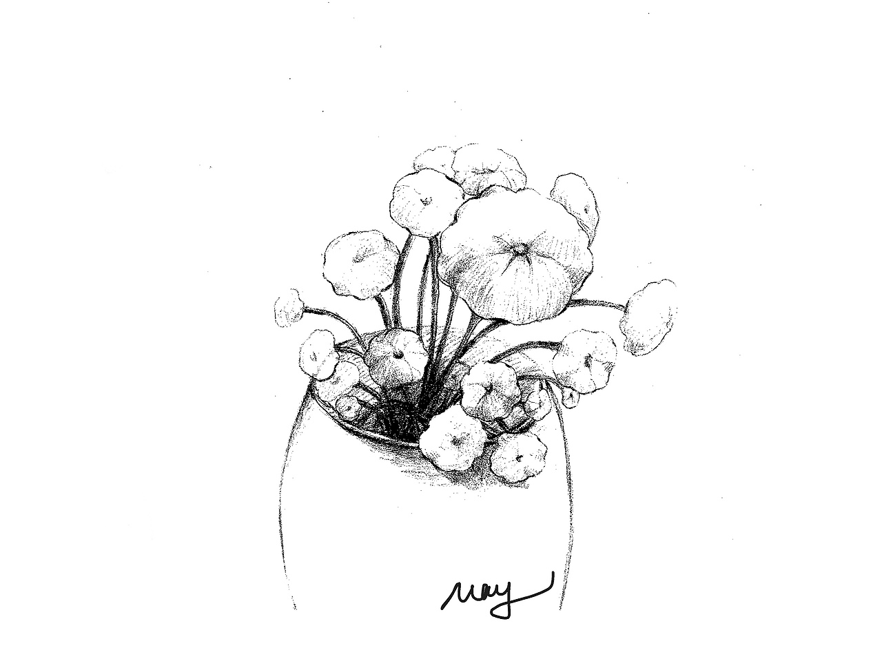 那些花儿（图ZMTQ0NjY3NTQ4） - 创作习作 - 站酷设计师梅子梅子酱原创素材 - 站酷ZCOOL