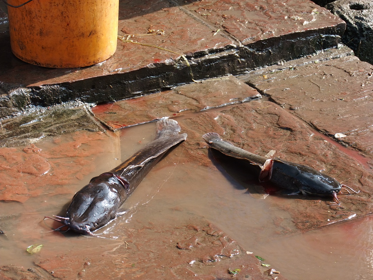 2010年湖南凤凰游记