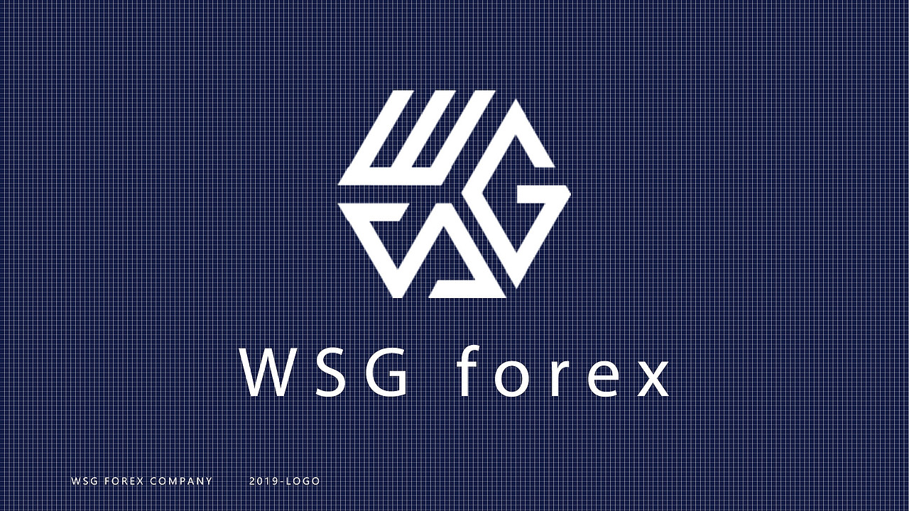 WSG公司logo