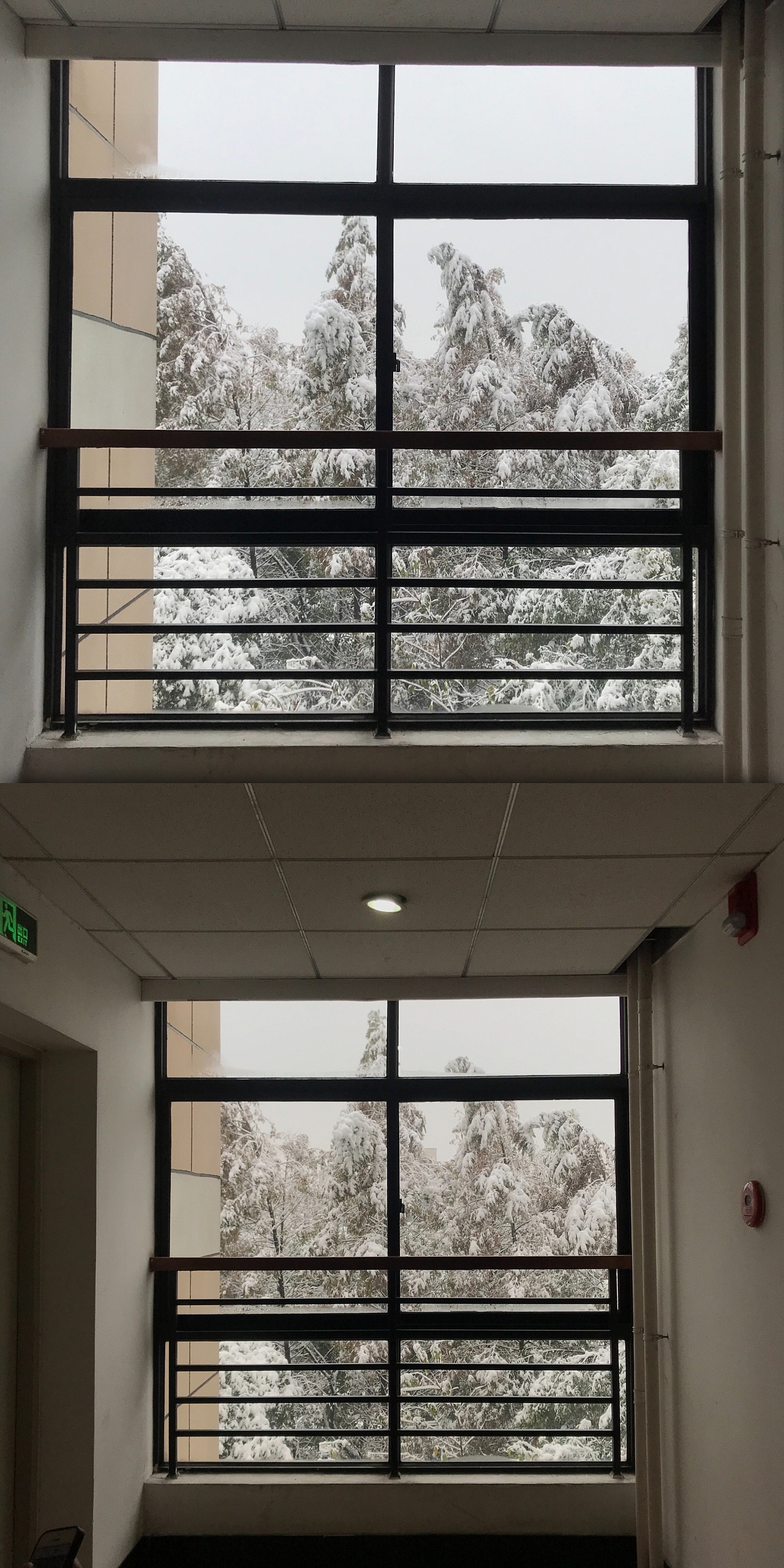 宿舍楼道的四季