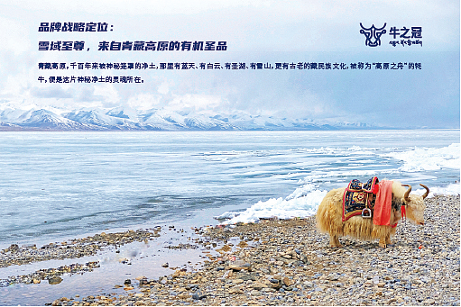 牛肉产业链介绍草稿