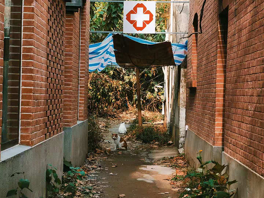 手机拍的几个抖音号短视频（图ZMTkxNDAzNzEy） - 短片 - 站酷设计师Chili凉小枣原创素材 - 站酷ZCOOL
