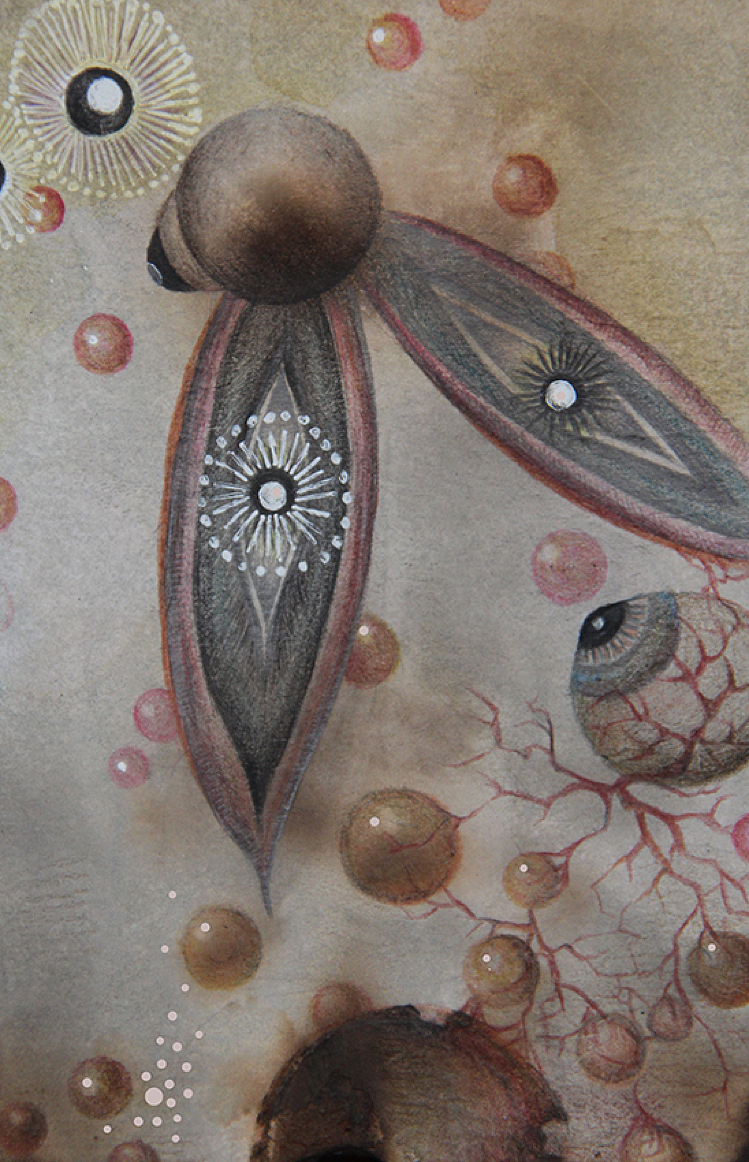 EYES（图ZMzg2MTY5NDA=） - 艺术插画 - 站酷设计师Applery原创素材 - 站酷ZCOOL