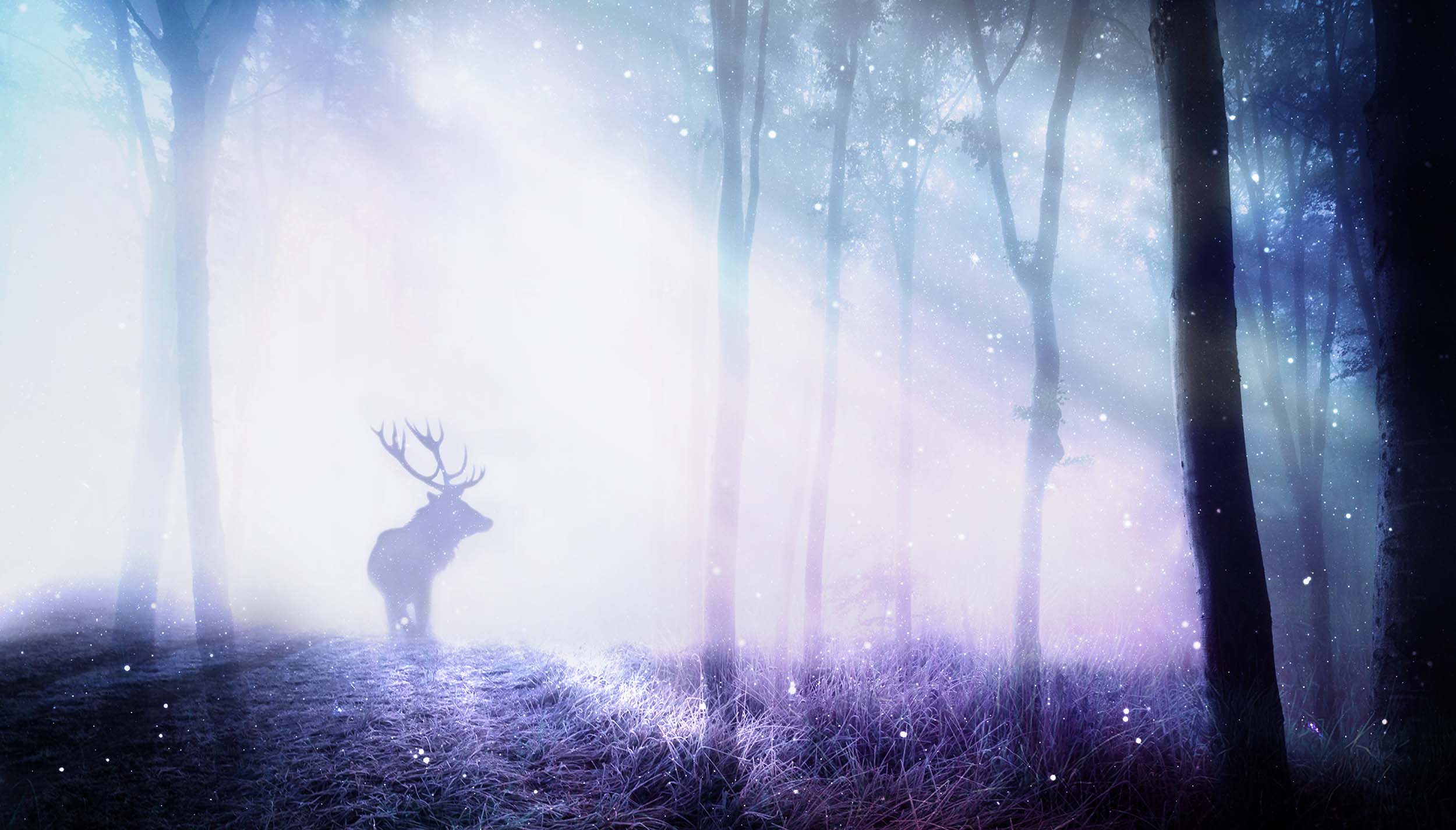 ElvisWang2016的個(gè)人主頁（背景預(yù)覽） - 主頁背景設(shè)置 - 站酷設(shè)計(jì)師ElvisWang2016原創(chuàng)素材 - 站酷ZCOOL