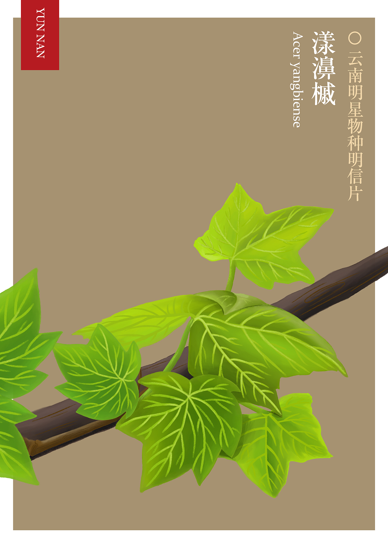 神奇动物在哪里（图ZMjczODA2ODY0） - 商业插画 - 站酷设计师沙子什么的原创素材 - 站酷ZCOOL