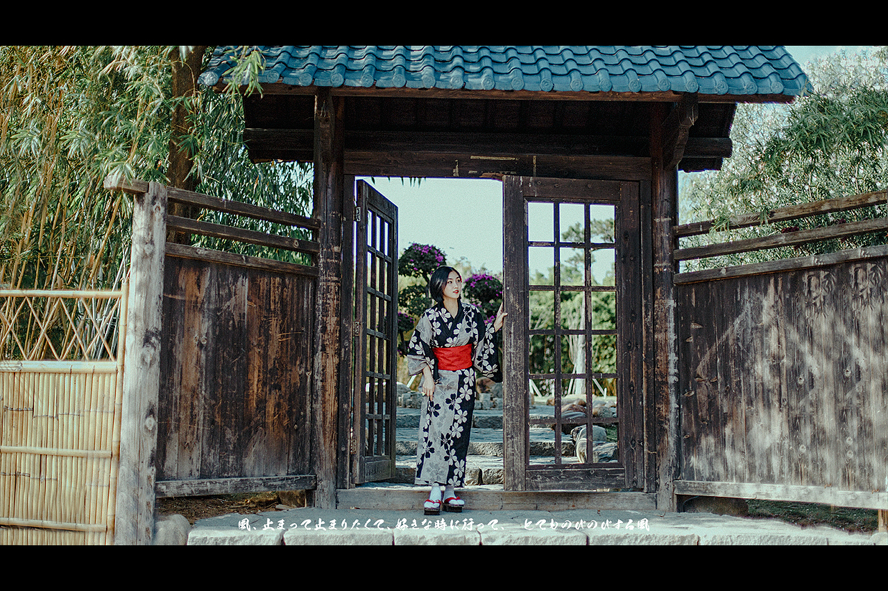 【 秋之白华 】