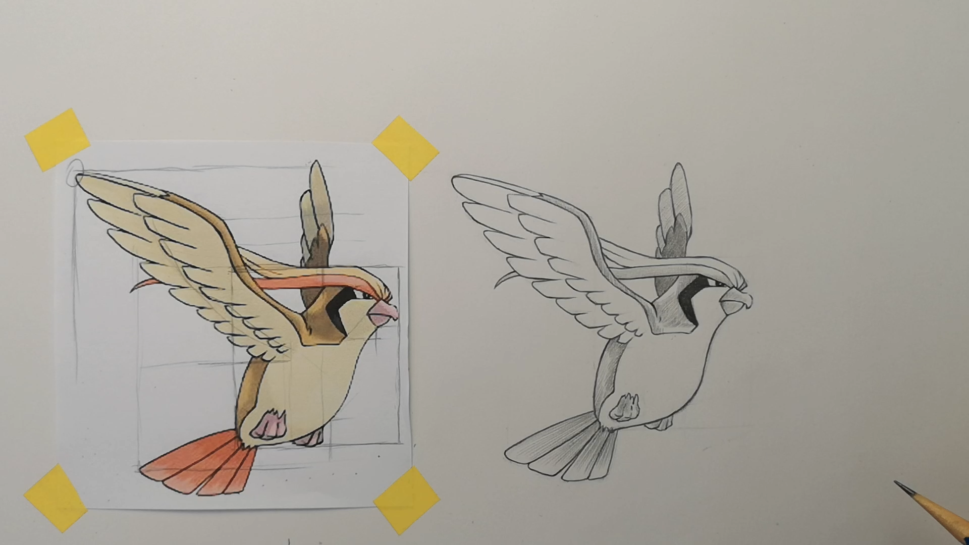 【教程】从身体开始一步步画出比比鸟