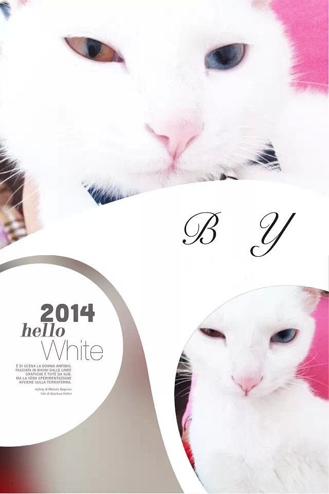 by（图ZMjI0NzE0ODg=） - 宠物摄影 - 站酷设计师argenn原创素材 - 站酷ZCOOL