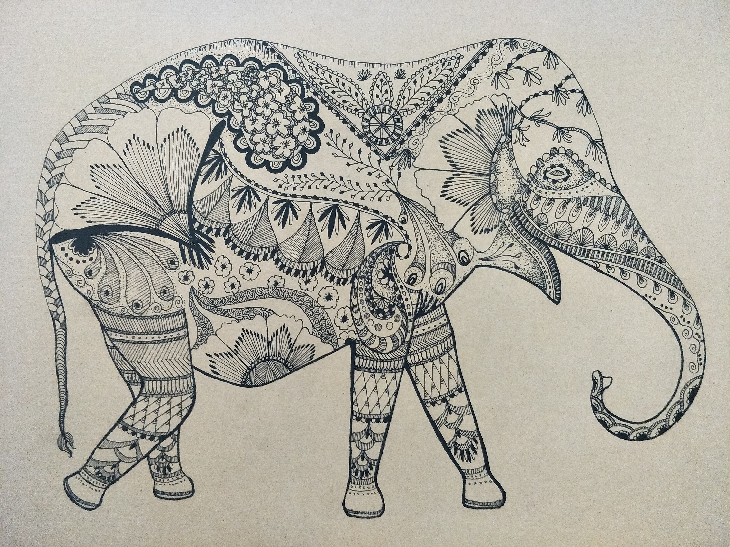 象|插画|插画习作|leaf酱酱 - 原创作品 - 站酷 (zcool)