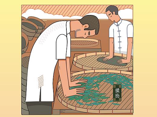 制茶工艺插画2