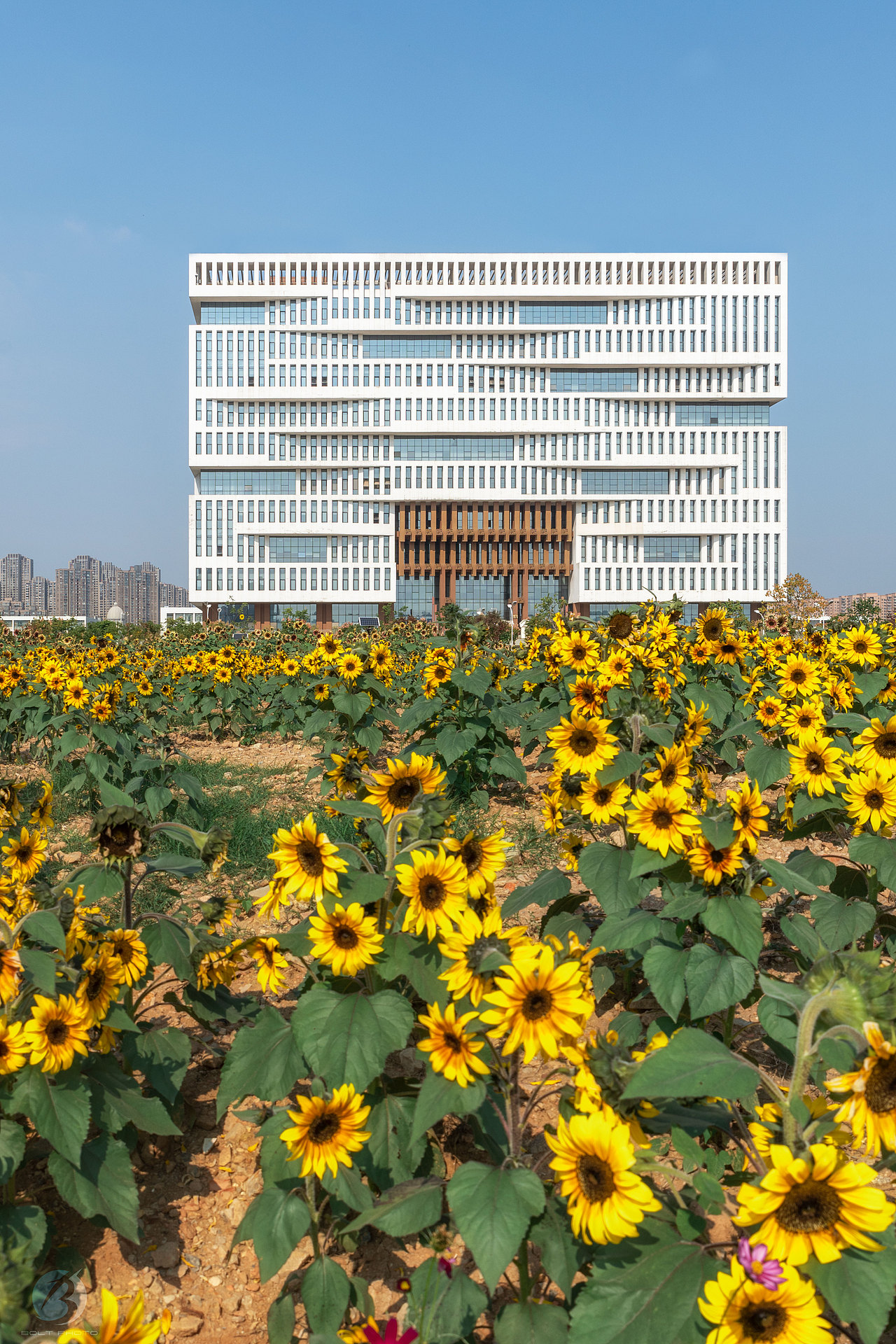 武汉理工大学南湖校区图书馆