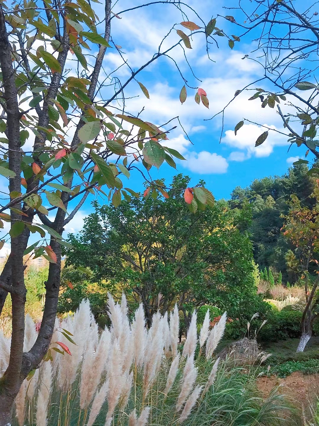 和秋天的第一场约会❤️