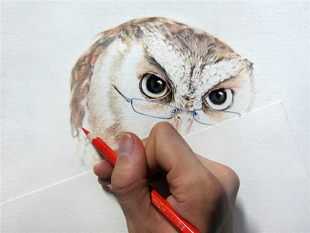 纸上彩铅-《福鸟花鸮》绘制过程（图ZMjcxNzMwMTI=） - 绘画 - 站酷设计师超超的青葱原创素材 - 站酷ZCOOL