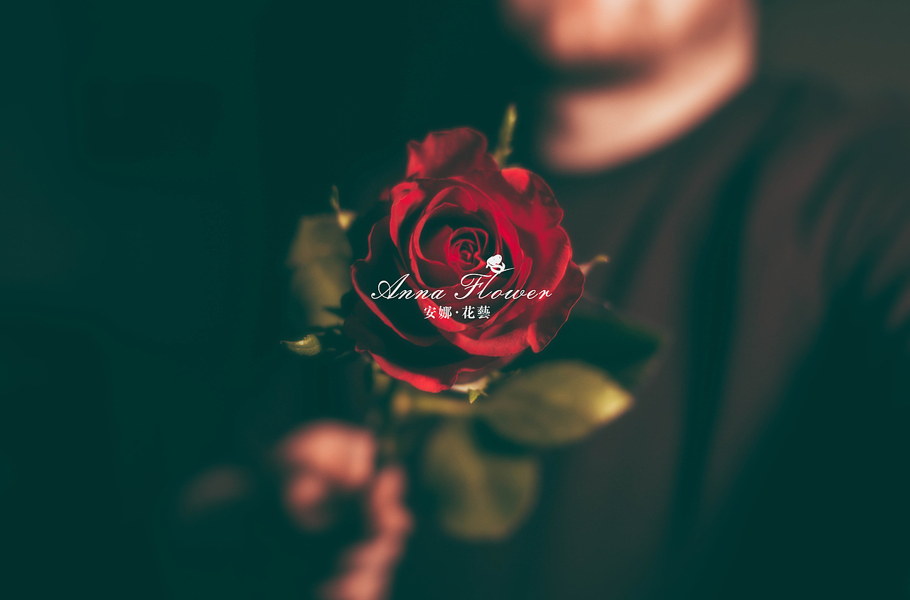 安娜花艺LOGO设计（图ZMjE1Mjg1ODE2） - 品牌 - 站酷设计师依然很逍遥原创素材 - 站酷ZCOOL