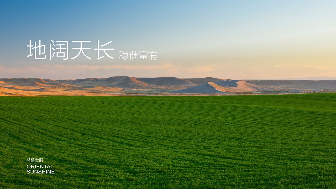 2018【盛禧金服】