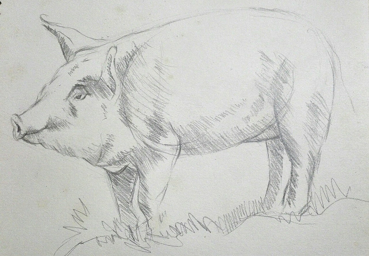 黑白猪年手绘素描图片素材免费下载 - 觅知网