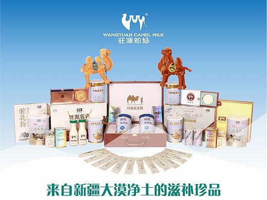 旺源驼奶宣传单页