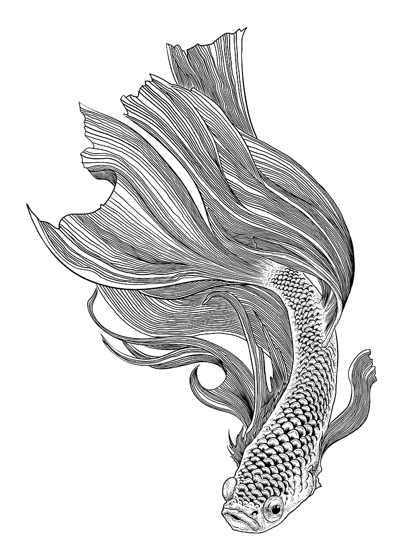 鱼鱼鱼（图ZMTExMjI0Njky） - 商业插画 - 站酷设计师DHTONG原创素材 - 站酷ZCOOL